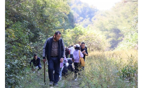 踏秋尋寶，聞香識(shí)藥！首屆神農(nóng)杯野外識(shí)藥大賽在株洲鳳凰山景區(qū)成功舉辦！