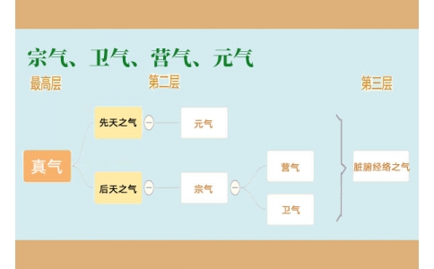 中醫(yī)里的“宗氣”、“衛(wèi)氣”、“營氣”、“元氣”